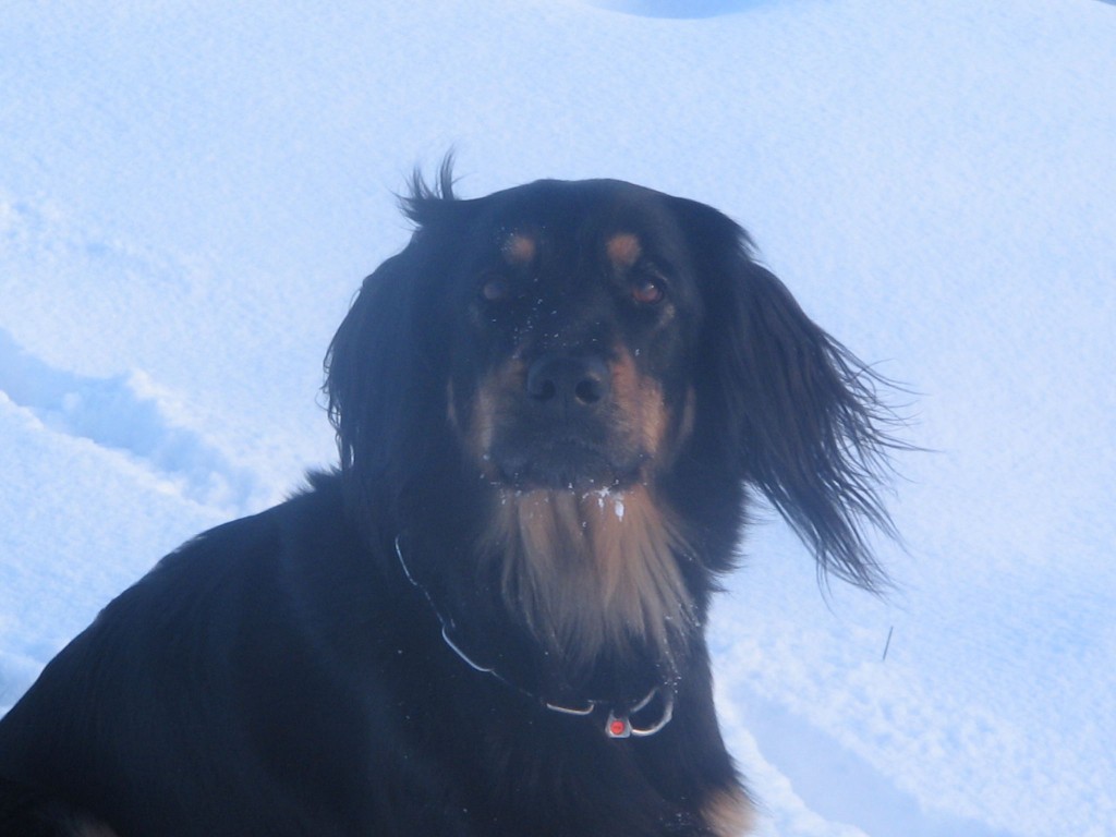 Gladys Winter 2010