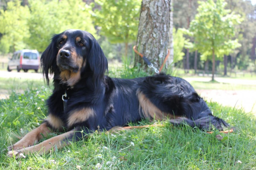Gladys5