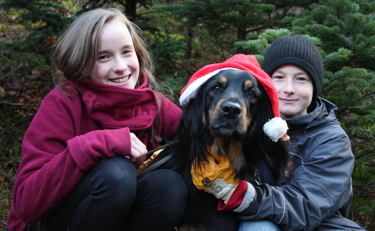 IMG_2180-Bildstreifen-Weihnachten-2011-Ausschnitt-Web.jpg IMG_2180-Bildstreifen-Weihnachten-2011-Ausschnitt-Web.jpg