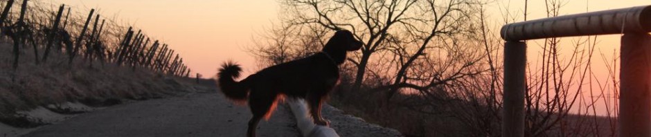 januar2012