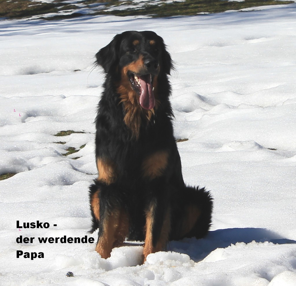 LuskoArtikelHomepage