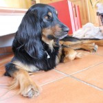 Unser Sheriff hat alles im Blick