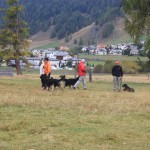korrekt bei Fuß mit Blickkontakt