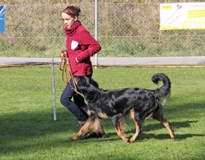 ein tolles Team
