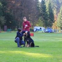 Gladys bei der Zahnkontrolle