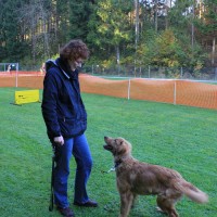 Tuttlingen #2
