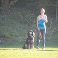 Tuttlingen #5