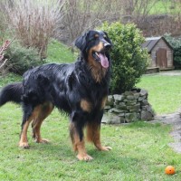 Lusko nochmals in Pose