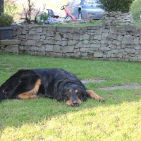 Ist diese Dame anstrengend ...