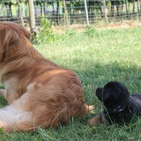 Aro & Balin
