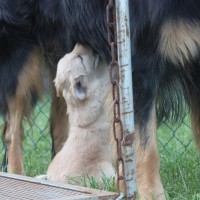 dann eben im Stehen, Mama