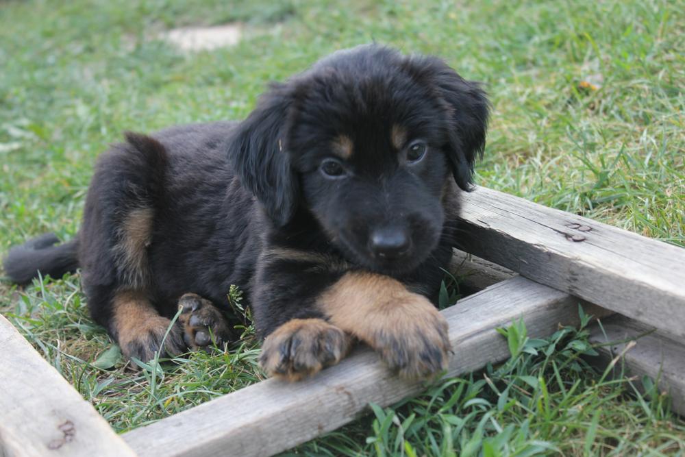 Balin-2407-4.jpg Balin-2407-4.jpg