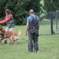 Aro beim Spielen