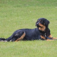 Balin mit Thomas