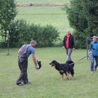 Balin beim Spielen