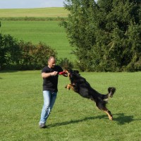 Balin beim Beutespiel mit Thomas