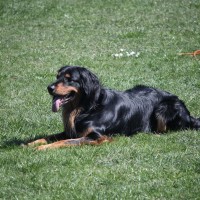 Basti im Platz