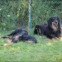 Gladys & Fedor Teufelchen von Husgritt