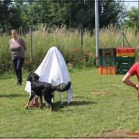 Calina beim Versteckspiel