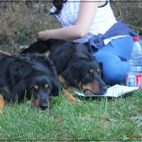 die zwei Grazien Gladys & Balika