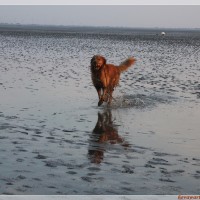 IMG_2822