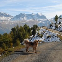 der_berg_ruft_bero