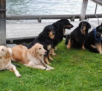 sitzparade_gruppe_gruen