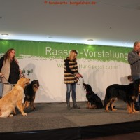 links Irene mit Chenna & Basko bei der Rassepräsentation