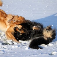 IMG_4830